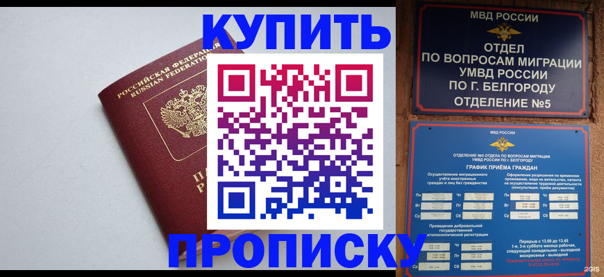 прописка регистрация в Ступино